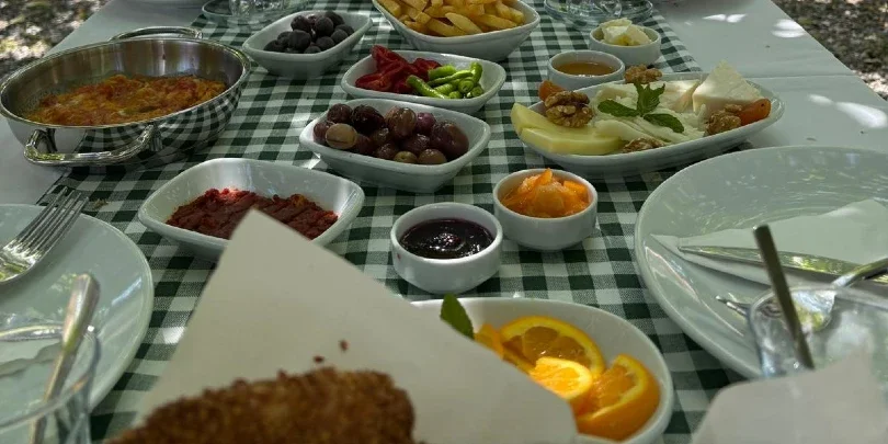 Portakal Ağaçlarının Altında